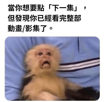 这是一张结合文字与动物表情的搞笑表情包，上方配文描述了追剧爱好者的常见场景：当沉浸在动画或影集中，想要点击下一集继续观看时，却发现已经看完了整部作品。下方的猴子双眼含泪、大张嘴巴，表情极度崩溃痛苦，完美还原了此时人们内心的失落、空虚与崩溃感，用夸张的动物神态放大了这种日常情绪，让有相同经历的人产生强烈共鸣。