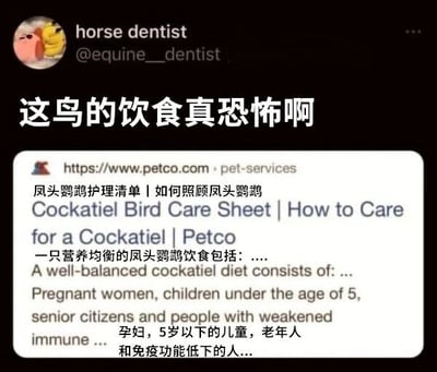 这是一张社交媒体截图梗图，展示了用户@equine_dentist（名称“horse dentist”）的帖子。帖子中用户看到Petco网站上的凤头鹦鹉护理清单，其中一段文字提到“孕妇、5岁以下的儿童、老年人和免疫功能低下的人”，因断句问题误以为这些人群是凤头鹦鹉的饮食组成部分，从而幽默调侃“这鸟的饮食真恐怖啊”。图中上方是用户信息和评论，下方是Petco网页的部分截图，形成了因文字误解产生的搞笑效果。