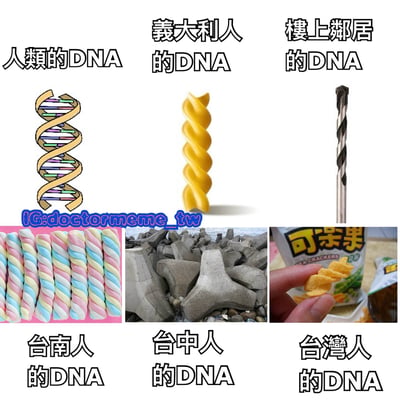 这是一张幽默梗图，通过将不同人群的DNA比喻为与其文化或地域特征相关的螺旋形物体来制造笑点。图中包含六个人群的DNA幽默表现：人类的DNA是标准双螺旋结构，意大利人的DNA是螺旋形意大利面，楼上邻居的DNA是钻头（暗示噪音），台南人的DNA是彩色螺旋糖果，台中人的DNA是混凝土防波堤，台湾人的DNA是可果美螺旋脆片。