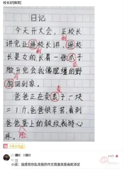 这是一张在社交平台流传的搞笑梗图，主体是一篇小学生手写的日记，日记里存在多处错别字：将“副校长”误写为“逼校长”、“瓜子脸”误写为“爪子脸”、“脱缰的野马”误写为“脱缰的野狗”、“卖麦子”误写为“卖表子”、“脸蛋上的皱纹”误写为“蛋上的皱纹”，错别字产生的歧义内容十分滑稽。批改者用红笔圈出了所有错别字，在旁边标注了正确用字。图片底部还有写日记的小学生的吐槽，称批改者改自己的作文是画蛇添足，进一步增加了搞笑效果。