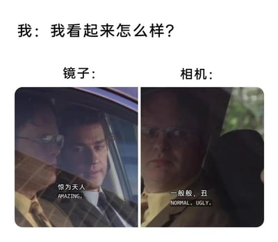 这张梗图通过左右对比的方式，幽默地展现了人们对自我形象的认知差异。上方文字"我：我看起来怎么样？"引出主题，左侧镜子标签下的人物表情自信，配文"惊为天人"；右侧相机标签下的同一人物表情失望，配文"一般般，丑"。这种对比生动地表现了人们照镜子时和被相机拍摄时的心理落差，引发共鸣和笑点。