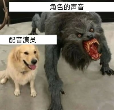 图片左侧是一只黄色的金毛犬，表情友好，吐着舌头坐着；右侧是一个凶猛的狼人形象，毛发呈灰黑色，嘴巴大张露出尖锐獠牙，眼神凶狠。上方文字标注“角色的声音”指向狼人，左侧文字标注“配音演员”指向金毛犬，通过可爱宠物与恐怖生物的强烈反差，幽默表现配音演员本人与所配角色声音形象的巨大差异。