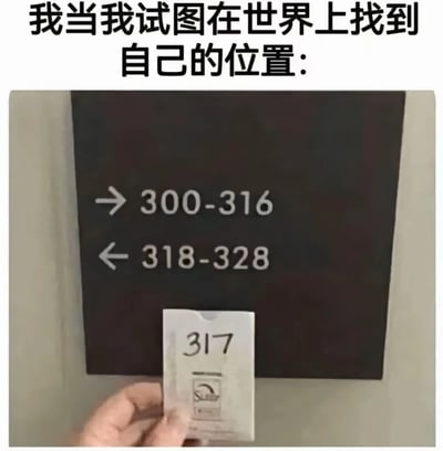 图片上方配有文字“我当我试图在世界上找到自己的位置：”，下方是一块黑色指示牌，牌上左侧箭头指向“300-316”，右侧箭头指向“318-328”，中间位置有一只手拿着一张写有“317”的白色卡片。通过数字序列的缺失（317恰好在316和318之间），幽默地比喻了在生活中找不到自身定位、处于尴尬夹缝中的状态。