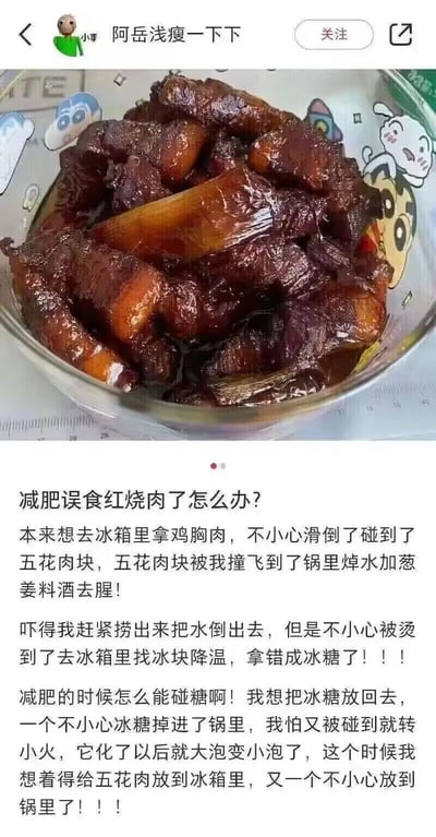 社交媒体用户发布的图文内容，上方为一碗色泽红亮的红烧肉照片，肉质饱满，汤汁浓郁，碗下垫有带卡通图案的桌布。下方配文以幽默自嘲的语气讲述减肥期间“意外”制作红烧肉的过程：本想拿鸡胸肉，却因一系列“不小心”（滑倒撞飞五花肉、拿错冰糖、误放肉块进锅等）最终做成了红烧肉，展现了减肥与美食诱惑间的搞笑矛盾。