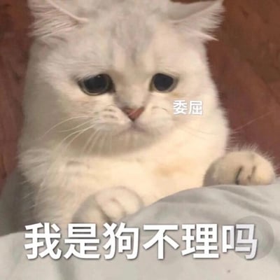 图片中是一只毛发雪白的猫咪，它有着大大的圆眼睛，眼神中透露出明显的委屈情绪，正趴卧在柔软的表面上，前爪微微向前伸出。猫咪脸颊附近有白色小字“委屈”，图片底部则有醒目的白色大字“我是狗不理吗”。整体画面通过猫咪委屈的表情和文字结合，营造出一种被忽视、感到失落的可爱又搞笑的氛围。这里的“狗不理”是双关用法，既指著名的包子品牌，又利用其字面意思“狗都不理”来幽默表达“自己是否被无视”的委屈情绪。