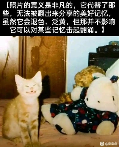 这是一张带有明显岁月痕迹的静态老照片，整体色调泛黄，画面带有细微划痕，充满复古质感。画面左侧是一只黄白相间的猫咪，它双眼紧闭，嘴角上扬，露出类似人类开怀大笑的愉悦表情，端正地坐在室内地面上；画面右侧是两个毛绒玩具，一个穿着带彩色图案衣服的白色玩偶侧躺在地，另一个棕色毛绒玩偶靠在它身后。照片上方配有一段抒情文字，阐述了照片承载美好记忆的意义——即使照片会褪色泛黄，也能唤起人们内心深处的回忆。整个画面氛围温馨治愈，传递出旧时光里的温暖与幸福感。
