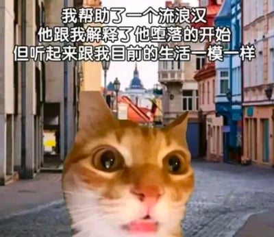 图片主体是一只表情极度震惊的橘猫特写，背景是一条具有欧洲风格的鹅卵石街道，两旁是色彩各异的欧式建筑。图片上方配有文字：'我帮助了一个流浪汉 他跟我解释了他堕落的开始 但听起来跟我目前的生活一模一样'。通过猫咪震惊的表情和文字内容形成幽默对比，暗示普通人生活与流浪汉堕落经历有相似之处，带有自嘲和讽刺意味。