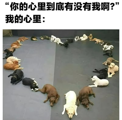 图片上方配有文字“你的心里到底有没有我啊？”和“我的心里：”，下方是一张实拍图，图中数十只不同品种、不同毛色（棕色、黑色、白色、黄棕色等）的狗狗整齐地以圆形排列趴在灰色的地板上，可能是在训练场地或室内空间。通过文字与图片的结合，幽默地表达了当被问及“心里是否有对方”时，内心实际被众多狗狗占据的有趣场景，展现了一种轻松诙谐的情感回应方式。