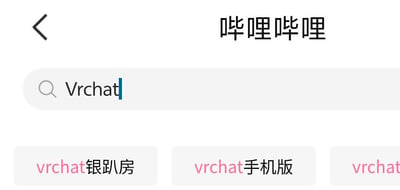 这是一张哔哩哔哩手机客户端的搜索界面截图，顶部显示"哔哩哔哩"应用名称，中间搜索框已输入"Vrchat"，下方显示相关搜索建议，包括"vrchat银趴房"、"vrchat手机版"等选项。界面设计简洁，采用白色背景配合灰色搜索框和粉色文字提示。