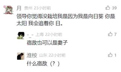 这是一张社交媒体平台的评论区静态截图，展示了三条来自不同地域用户的互动评论。第一条来自贵州的用户“月”以谐音梗的方式调侃职场上下级关系，将自己比作向日葵、领导比作太阳，用“追着你日”谐音“追着你转”的低俗化变体，暗含对领导的戏谑；第二条来自上海的用户“-_-”接梗，用“宿敌也可以是妻子”这种错位的关系描述进一步玩梗，模糊上下级与亲密关系的边界；第三条来自山东的用户“淮桉”则发出疑问“什么宿敌（？）”，表现出对前面玩梗内容的不解。三条评论形成了一个简短的互动链条，充满了网络社交的玩梗趣味，反映出网友用幽默方式消解职场压力的心态。