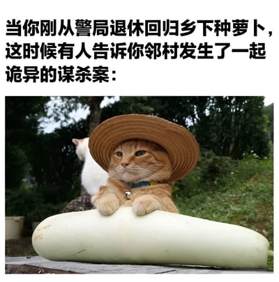 图片上方配有文字：'当你刚从警局退休回归乡下种萝卜，这时候有人告诉你邻村发生了一起诡异的谋杀案：'，下方是一只戴着棕色草帽的橘猫，前爪趴在一根巨大的白萝卜上，眼神严肃望向远方，背景有绿色植被和一只模糊的白猫。整体通过拟人化的猫咪形象与文字结合，营造出退休警察在田园生活中突然听闻案件的反差幽默场景。
