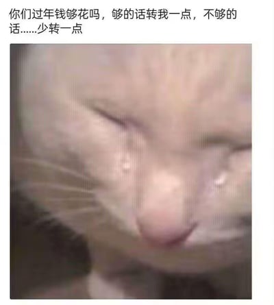图片上方配有幽默文字：'你们过年钱够花吗，够的话转我一点，不够的话……少转一点'，下方是一张猫咪的特写照片。猫咪双眼紧闭，眼角似乎有泪痕，表情显得委屈又可怜，与上方乞讨金钱的文字形成趣味呼应，整体营造出一种搞笑又略带撒娇的氛围，常用于春节期间朋友间的调侃互动。