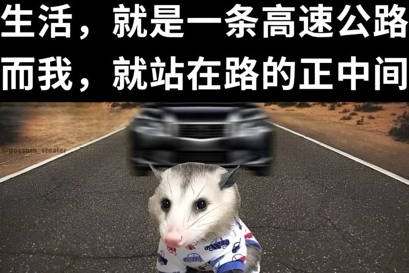 负鼠