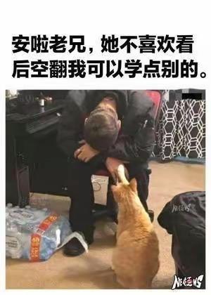 图中一名男子坐在椅子上，将头埋在手臂里，神情低落，看起来正为情所困；一只橘色猫咪站在他面前，抬起爪子轻触他的手臂，仿佛在安慰他。图片顶部配文以拟人化的口吻，将猫咪的动作解读为它在安慰男子：“安啦老兄，她不喜欢看后空翻我可以学点别的。”，用幽默的玩梗方式，把猫咪塑造成懂人心的暖心伙伴，既调侃了单恋失意的情绪，又通过可爱的画面传递出治愈感，反差感十足。