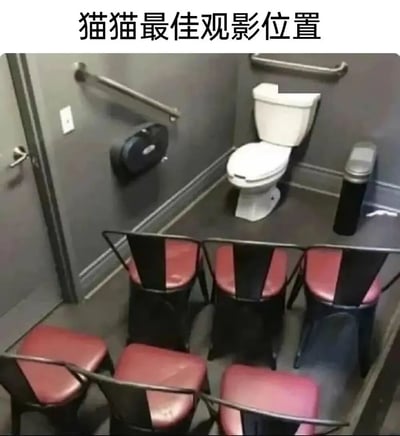图片展示了一个小型卫生间，灰色墙壁，内有白色马桶。马桶前方整齐排列着多把红黑色座椅，形成类似剧场观众席的布局。图片顶部配有文字“猫猫最佳观影位置”，通过将卫生间座椅布置成剧场样式，幽默地暗示这是猫咪观看“演出”（可能指主人使用马桶时）的最佳位置，展现了猫咪好奇心和独特视角的趣味联想。