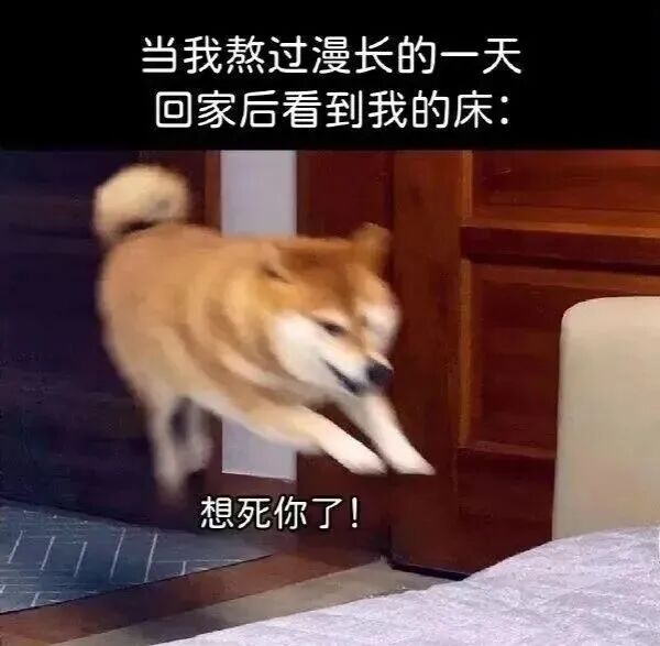 狗