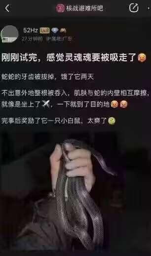 这是一张百度贴吧“核战避难所吧”的用户发帖截图，属于竖屏手机格式的图文混排内容。帖子由用户“52Hz”发布，配文用低俗的双关暗示描述了自己与被拔掉牙齿、饿了两天的蛇的怪异体验，将低俗行为隐喻为“坐上飞机”，还提到事后奖励蛇小白鼠；下方配了一张真人手持缠绕在手上的蛇的照片，整体内容怪异且低俗，容易引起观者不适。