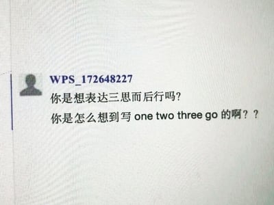 这是一张WPS办公软件的评论区截图，用户账号WPS_172648227针对文档中的内容提出两个疑问：一是猜测对方是否想用“one two three go”表达“三思而后行”的含义，二是好奇对方创作“one two three go”这段表述的思路，整体是办公协作场景下的内容疑问互动，无谐音或双关梗。