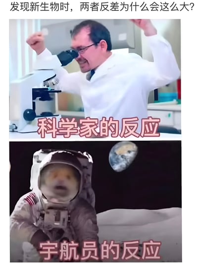 图片采用上下对比构图，上方为实验室场景：一位穿白色实验服的科学家正通过显微镜观察，身体后仰、双臂高举，面露狂喜，下方配粉色文字“科学家的反应”。下方为太空场景：一名宇航员坐在月球表面，宇航服头盔内露出类似狗的惊讶面部表情，背景可见悬浮的地球，下方同样配粉色文字“宇航员的反应”。图片顶部以黑色文字提出问题“发现新生物时，两者反差为什么会这么大?”，通过科学家的极度兴奋与宇航员（狗脸）的呆萌惊讶形成鲜明对比，营造幽默效果。