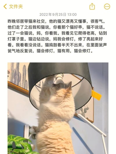 这是一篇典型的小猫文学图文内容，图片上方是第一人称的文字叙事，记录了主人和自家猫咪的日常小事：邻居带乖巧懂事的猫咪来家社交离开后，主人和自家猫咪夸赞了别家猫，自家猫没有当场回应，之后悄悄爬进高高的落地灯灯罩里，在灯罩里捣鼓半天不出门，隔着灯罩瓮声瓮气反复对主人说“猫会修灯，猫有用，猫会修灯”；图片下方搭配对应实拍图，一只浅米色长毛猫半个身体钻进落地灯罩中，场景和文字内容完全呼应，整体文风质朴软萌，情绪戳人，符合小猫文学的创作特点。