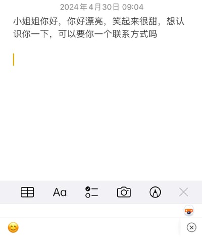 这是一张聊天界面截图，显示了一条搭讪消息："小姐姐你好，你好漂亮，笑起来很甜，想认识你一下，可以要你一个联系方式吗"。截图包含时间戳"2024年4月30日 09:04"，底部有输入框和各种功能图标，包括表情符号按钮。