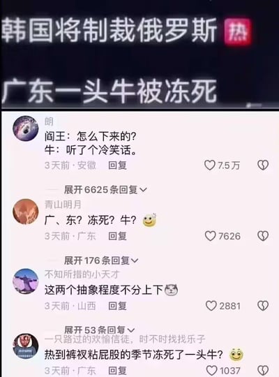 这是一张竖屏的社交媒体评论区截图，上方展示了两条反差感拉满的新闻标题：「韩国将制裁俄罗斯」和「广东一头牛被冻死」。下方是四条热门网友评论：
1. 网友「朗」创作了阎王与牛的趣味对话：「阎王：怎么下来的？牛：听了个冷笑话。」，巧妙将两条新闻结合，暗指「韩国制裁俄罗斯」是让牛被冻死的“冷笑话”，该评论收获7.5万点赞；
2. 广东本地网友「青山明月」用拆分加疑惑表情的方式发出灵魂疑问：「广、东？冻死？牛？」，表达对广东出现牛被冻死事件的难以置信；
3. 网友「不知所措的小天才」评论「这两个抽象程度不分上下」，并配上柴犬疑惑表情包，吐槽两条新闻都十分离谱；
4. 网友「一只路过的欢愉信徒，时不时找找乐子」调侃「热到裤衩粘屁股的季节冻死了一头牛？」，进一步强化对该事件的惊讶感。
整体内容充满网友对离谱新闻的搞笑吐槽，氛围轻松戏谑。