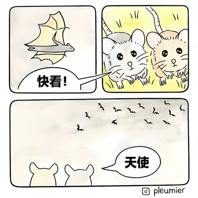 这是一幅三格连环漫画，展现了两只小老鼠的可爱误会场景。第一格中，一只蝙蝠正展翅飞行；第二格，两只小老鼠（一只灰色、一只浅棕色）趴在黄色背景前，其中一只指着蝙蝠说“快看！”；第三格，视角切换到小老鼠的视角望向天空，一群飞鸟在空中飞翔，小老鼠们发出“天使”的感叹。整体画风温馨治愈，通过小动物的天真视角制造出趣味效果。