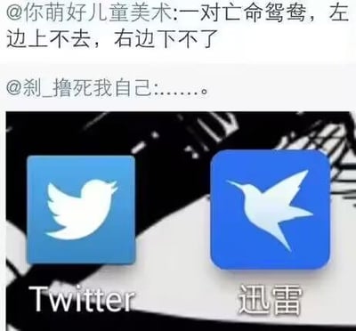这是一张微博平台的社交媒体截图，图中左右并列展示了Twitter（推特）和迅雷的应用图标，两者的飞鸟造型高度相似。上方的微博用户评论玩梗称它们是“一对亡命鸳鸯，左边上不去，右边下不了”，一语双关：调侃Twitter在国内无法正常访问，而迅雷则因版权等问题，很多资源无法下载，用幽默的方式吐槽两款软件的使用困境，另一用户则以省略号回复，表达共鸣。