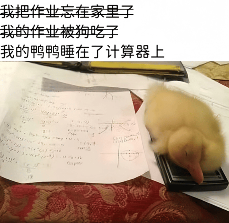 小鸭子