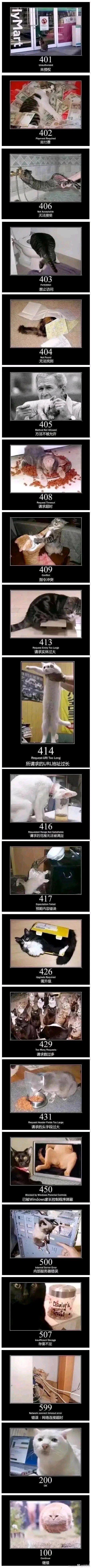 乔治·W·布什