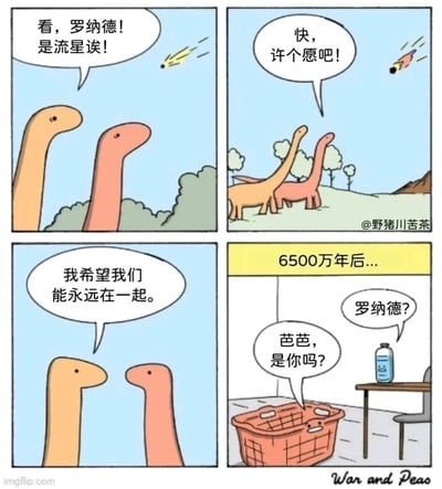 漫画四格，两个恐龙角色在6500万年前看到流星并许愿“永远在一起”，结果被梗式处理，直接暗示流星导致恐龙灭绝。6500万年后转场到现代，变成矿泉水瓶和空篮子“相认”，形成极强的反差与无奈感。结局幽默地映射“陪伴到天荒地老”的许愿有时会因意外走向出人意料，采用了拟人化和时间穿越的对比效果。
梗点：利用擬人化恐龙许愿后变成矿泉水瓶和篮子的形式，表达对“许愿实现”带来的无奈结局，包含明显双关和暗示，讽刺或调侃感强。