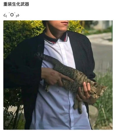 图片中一名穿着白色衬衫和黑色外套的人站在户外绿植背景前，双手抱着一只灰色条纹猫。图片上方配有文字'重装生化武器'和一个可爱的猫耳表情符号'૮ ´• ˕ •` ა'，形成幽默的反差效果。猫咪表情看起来有些无奈，与'生化武器'的夸张标题形成搞笑对比。