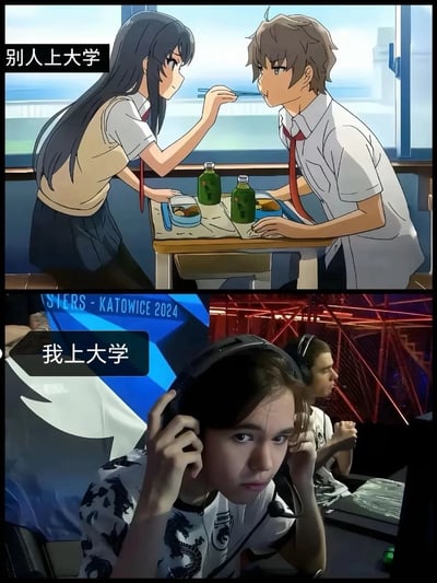 这是一张上下结构的对比类玩梗图，上半部分取自日本动画《青春猪头少年不会梦到兔女郎学姐》的甜蜜名场面，穿着校服的樱岛麻衣正给梓川咲太喂饭，两人氛围亲密浪漫，配文标注“别人上大学”；下半部分是2024年卡托维兹大师赛的电竞比赛现场实拍，前景的男选手正调整耳机神情严肃专注，配文标注“我上大学”，两部分内容形成强烈反差，夸张调侃自己的大学生活和他人充满浪漫恋爱的校园生活截然不同，更多投入在电竞、游戏相关的活动中。