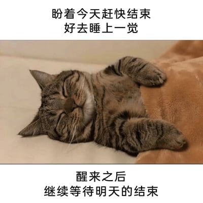 这是一张顶配底文式的静态图片，画面主体是一只闭着双眼、四肢放松地仰躺着的狸花猫，它靠在棕色枕头上，神态慵懒疲惫，呈现出昏昏欲睡的状态。图片上方配有文字“盼着今天赶快结束好去睡上一觉”，下方配有文字“醒来之后继续等待明天的结束”，用猫咪的倦怠状态隐喻当代人陷入重复、疲惫的生活循环，对日常缺乏热情，只想浑浑噩噩度日的无奈心态，能够引发人们对倦怠生活的情绪共鸣。