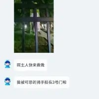 这是一张竖屏的聊天记录截图，上方是一张透过栏杆拍摄的户外照片，照片中的树枝因视觉错位看起来像是一只被栏杆卡住的手；下方是两条拟人化的聊天消息，第一条是“萌主人快来救我”，第二条是“我被可恶的骑手挂在3号门啦”，将树枝拟化成被挂住的“求助者”，利用视觉错位制造出荒诞搞笑的趣味效果，充满整活的幽默感。