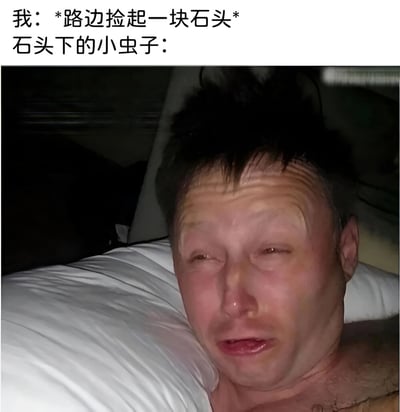 这是一张搞笑梗图，上方文字描述场景："我：*路边捡起一块石头* 石头下的小虫子："，下方配图是一位头发凌乱的男子躺在床上，露出极度惊讶和困惑的表情。图片通过将小虫子拟人化，用人类夸张的惊讶反应来表现石头被搬开时虫子的震惊，形成幽默效果。