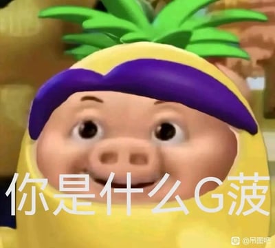 这是一张网友二次创作的恶搞表情包，将《猪猪侠》的猪脸形象与《果宝特攻》中菠萝吹雪的菠萝外皮造型合成，角色面带戏谑的滑稽笑容，下方配文“你是什么G菠”，利用“G菠”谐音脏话制造低俗搞笑的效果，整体风格搞怪滑稽，主要用于网络社交场景中调侃、怼人，传递戏谑的情绪。