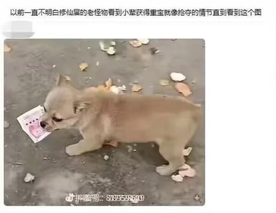 上方配文“以前一直不明白修仙届的老怪物看到小辈获得重宝就像抢夺的情节直到看到这个图”，下方是一只浅棕色小狗正叼着一张纸币，周围散落着破碎的蛋壳，仿佛是刚弄碎装钱的“容器”就抢走了里面的钱。这张图用现实中小狗见钱就抢的真实行为，类比修仙界老怪物抢夺小辈重宝的经典情节，形象又搞笑地让人体会到这类修仙剧情的逻辑，带来恍然大悟的趣味感。