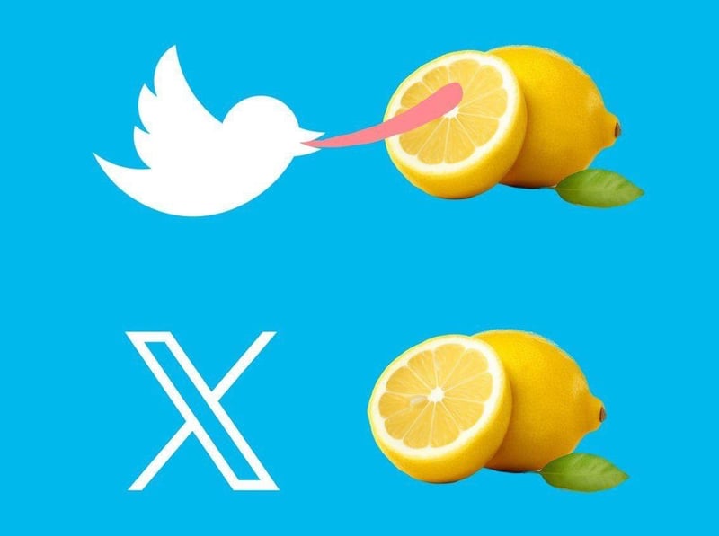 Twitter（X）品牌标识
