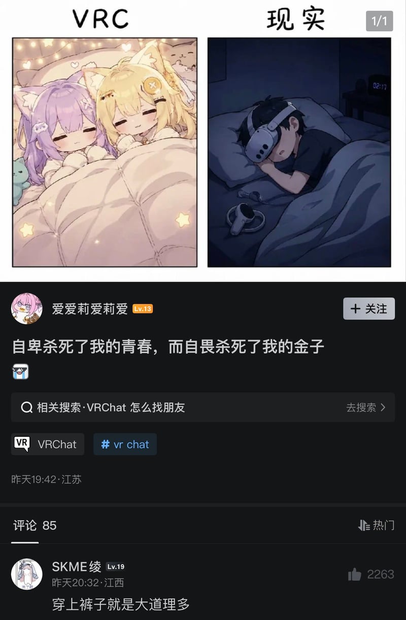 VRChat相关梗图