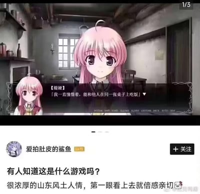这是一张上下拼接的玩梗图，上半部分是美少女视觉小说《秽翼的尤斯蒂娅》的游戏界面截图，角色缇姬说出「我一直憧憬着，能和他人在同一张桌子上吃饭」的台词，表达自己对陪伴的渴望；下半部分是微博用户「爱拍肚皮的鲨鱼」的发帖内容，用户询问该游戏名称，并调侃「很浓厚的山东风土人情，第一眼看上去就倍感亲切」。这里是玩谐音梗：台词里的「同一张桌子」的「桌」发音贴合山东方言的发音习惯，制造出无厘头的搞笑效果。