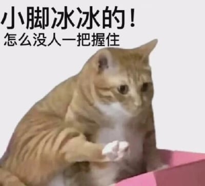 暂无描述