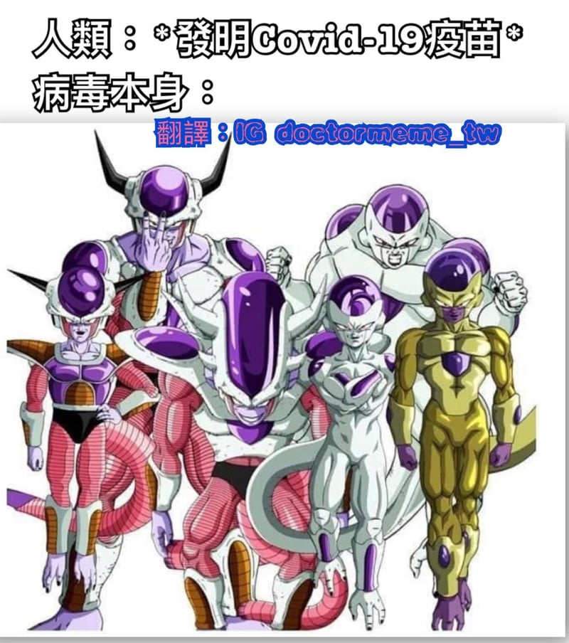 弗利萨