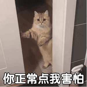 一只橘猫从半开的门缝中小心翼翼地探头窥视，前爪搭在门沿上，眼神中带着明显的警惕和害怕。随着门的轻微晃动，猫咪的头部时隐时现，配合下方重复出现的文字“你正常点我害怕”，生动表现出对门外异常行为的恐惧与不安，整体画面充满生活化的幽默与萌感。