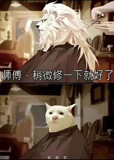 这是一张上下拼接的对比式网络梗图，上半部分展示了一只拥有飘逸白色长发的拟人化狮子，正坐在理发店内的理发椅上，披着理发围布，神情严肃地对理发师说道“师傅，稍微修一下就好了”，理发师的手拿着剪刀正在修剪它的长发；下半部分则是理发完成后的结果，原本的狮子形象被替换成了知名网络梗图“Mur猫（悲伤猫）”，猫咪毛发被剪得一干二净，脸上露出呆滞、无语的表情，与上半部分的形象形成极其强烈的反差。整张图用夸张的方式调侃了现实生活中许多人在理发时，明明和理发师说“稍微修一下”，最终却得到完全不符合预期的发型的“理发翻车”经历，精准戳中大众的共鸣点，充满搞笑和吐槽的意味。