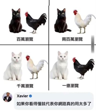 这是一张四格合成梗图，通过不同颜色的猫和鸡的组合对应不同的网络浏览量等级：左上角黑猫+黑鸡对应百万浏览，右上角黑猫+白鸡对应两百万浏览，左下角白猫+白鸡对应千万浏览，右下角白猫+黑鸡对应一亿浏览。图下方有用户Xavier的评论：“如果你看得懂就代表你網路真的用太多了”。
这张图的核心是谐音梗：“鸡”谐音“基”，对应男同性恋群体里的攻受属性分类，猫通常被网友用来指代“受”，鸡指代“攻”，黑白颜色对应攻受的属性偏向（黑代表“攻”属性强，白代表“受”属性强），其中反差感最大的“白受+黑攻”组合最受网友欢迎，所以标注的浏览量最高，能看懂这个梗的人通常经常浏览LGBTQ+相关的网络内容。