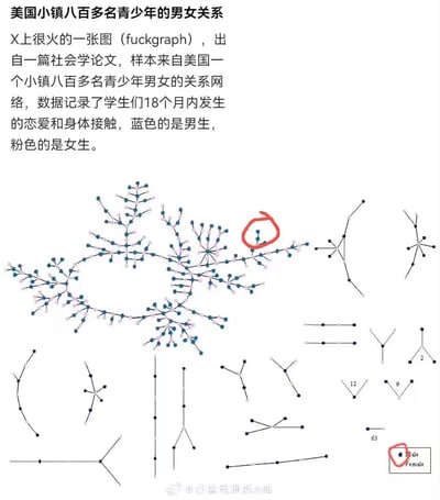 这是一张展示美国小镇八百多名青少年男女关系网络的图表，源自一篇社会学论文。图表中用蓝色节点代表男生，粉色节点代表女生，节点之间的连线表示18个月内发生的恋爱或身体接触关系。图中有部分节点被红色圆圈特别标注，整体呈现出复杂的社交网络结构。