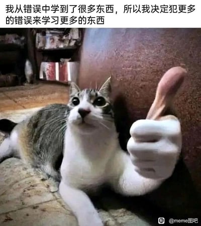 这是一张经过P图改编的搞笑梗图，画面主体是一只趴在地面上的狸花加白猫咪，猫咪的一只前爪被替换成了一只竖起大拇指的人类手，猫咪睁着圆溜溜的大眼睛，表情看起来无辜又带着一丝滑稽。图片顶部配有文字“我从错误中学到了很多东西，所以我决定犯更多的错误来学习更多的东西”，用一种戏谑的逻辑调侃了“从错误中学习”的观点，将其极端化，制造出荒诞搞笑的效果，传递出一种摆烂、自嘲的情绪，适合用来调侃职场或生活中犯错后的心态。