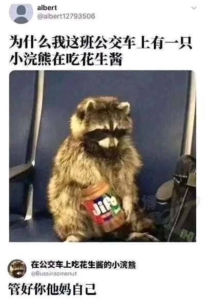 这是一张经过翻译的国外社交平台截图，画面分为上下两部分。上方是用户名为albert的网友发布的内容，配文“为什么我这班公交车上有一只小浣熊在吃花生酱”，并附带一张照片：一只小浣熊坐在公交车的座椅上，怀里抱着一罐Jif品牌的花生酱，神态淡定。下方是一个头像是小浣熊、账号名为@Bussinsomenut的用户以小浣熊的口吻回复道“管好你他妈自己”，通过拟人化的方式，让小浣熊以不耐烦的语气回怼网友的疑惑，制造出强烈的反差感和搞笑效果，属于典型的拟人化幽默梗图。