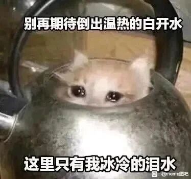 这是一张P图改编的顶配底文式静态梗图，创作者将一只泪眼汪汪、满脸委屈的猫咪图像合成到金属水壶内部，搭配上下两行文字“别再期待倒出温热的白开水”“这里只有我冰冷的泪水”，采用拟人化的手法，把猫咪的泪水和水壶原本应装的白开水关联，生动传递出期望落空后的委屈、失落情绪，适合作为表情包用来表达这类心情，图片右下角带有“@meme图吧”的水印。
